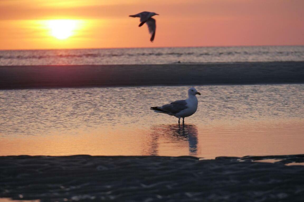 Fewo Buesum - Bella Mare - Nordseestrasse 3 Buitenkant foto